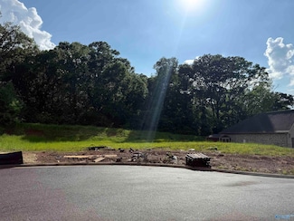 Lot 5 Tumbleweed Dr, Guntersville, AL 35976