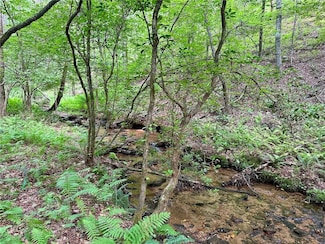 10-/+ Freedom View Dr, Dahlonega, GA 30533