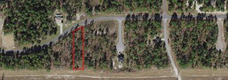 2168 W Riley Dr, Citrus Springs, FL 34434
