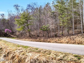Lot 553 Whistle Valley Rd, New Tazewell, TN 37825