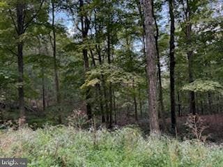 0 Cubby Hole Lane - Lot 25 Unit WVMO2006624, Berkeley Springs, WV 25411
