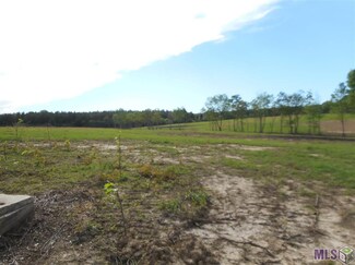 TBD La Hwy 955, Ethel, LA 70730
