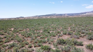 0 Tbd Highway 40, Dinosaur, CO 81610
