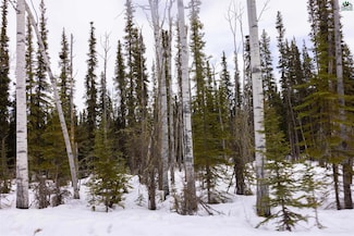 NHN Agnes Ln, Badger, AK 99705