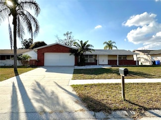1314 Sunfish Dr, Brandon, FL 33511