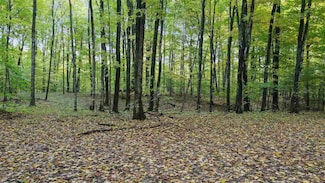 3367 Needles Dr Unit Lot 27, Harbor Springs, MI 49740