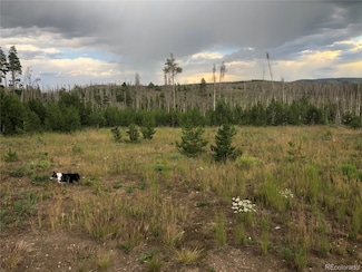 0 Forest Service Road 609 Unit REC9569090, Walden, CO 80480