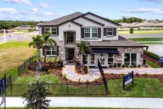 Mira Lago, Wimauma, FL 33598