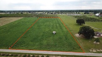 0 Charles Osborne Rd Unit MFRO6140512, Umatilla, FL 32784