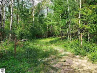 00 Slosser Rd, Hale, MI 48739