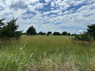 Lot 8 Lemonade Ln, Farmersville, TX 75442