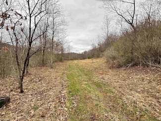 TBD Hunters Fork Rd, Belington, WV 26250