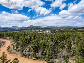 451 Chipeta Creek Trail, Florissant, CO 80816
