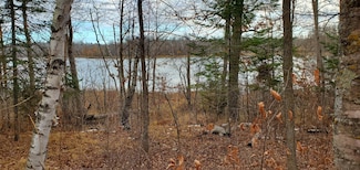 Parcel C Ticonderoga Trail, Hackensack, MN 56452