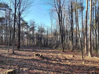 00 Wentworth Rd Unit 76-5-1, Walpole, NH 03608