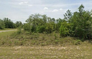 0 Springfield St Unit MFRO6179839, Chipley, FL 32428