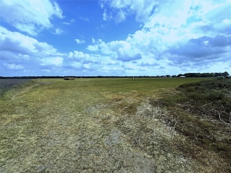 TBD County Road 321, Louise, TX 77455