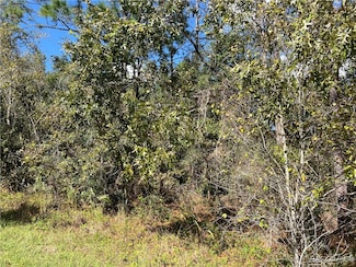 3249 E Murray St, Inverness, FL 34453