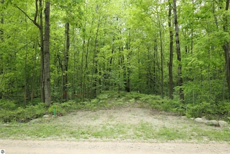 TBD S Lakeside Trail, Chippewa Township, MI 48883