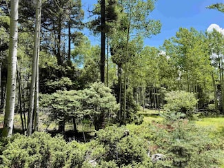 Lot 100 Zia Rd, Angel Fire, NM 87710