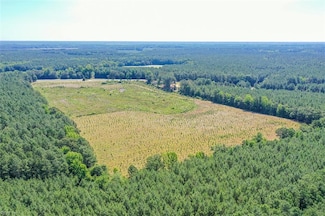 25+AC Courthouse Rd, Waverly, VA 23890