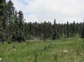 Lot 22 Hinz Drie, Angel Fire, NM 87722
