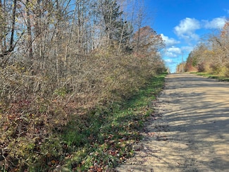 000 Miami Ave, Casco Township, MI 49090