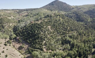 80 Acres, Brian Head, UT 84719