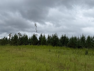 0 Providence Church Rd, Ethelsville, AL 35461