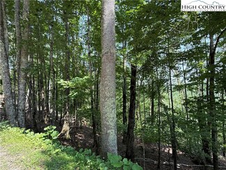 115 Hollow Tree Rd, Beech Mountain, NC 28604