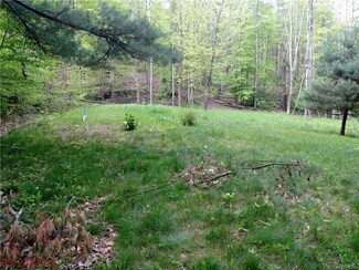 1292 California Hollow Rd, Bolivar, NY 14715