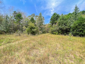 0 County Road 4606, Troup, TX 75789