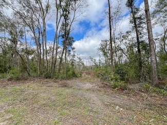 0 NE 200th Ave Unit 794335, Old Town, FL 32680
