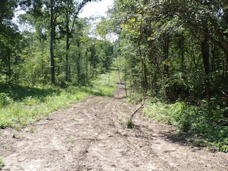 0 S Lacey Lake Rd Unit 289887, Bellevue, MI 49021