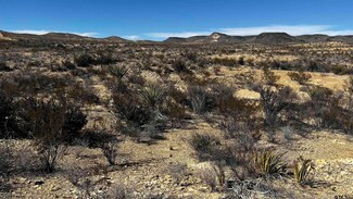 24482 Raven Rd, Terlingua, TX 79852