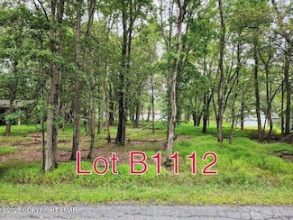 Lot B1112 Beaver Dr, Indian Mountain Lake, PA 18210