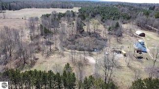 5325 Archer Rd, Brethren, MI 49619