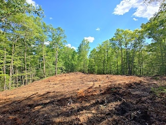 Lot 3 Megan Trace Ln, Turtletown, TN 37391