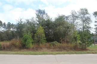 70 County Road 5008, Cleveland, TX 77327