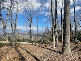 6 Laurel Ledge Way Unit LOT 17, Fletcher, NC 28732