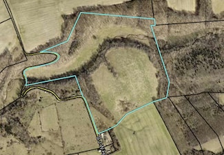 61 Acres J W Harris Rd, Russell Springs, KY 42642