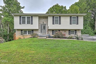 101 Sapling Grove Ct, Bristol, VA 24201