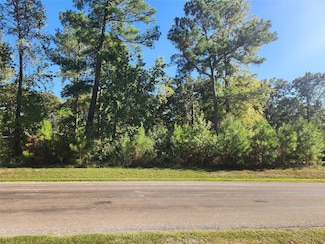 T.B.D. Hidden Oaks Dr, Point Blank, TX 77364