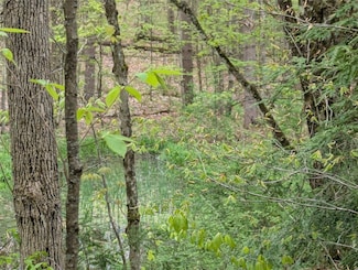 00 Union Hill Rd, Candor, NY 13743