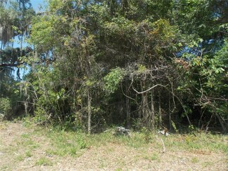 1010 N Warnell Rd, Coleman, FL 33521