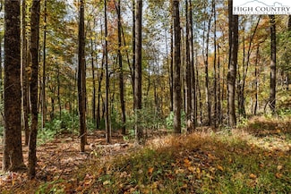 24 Ben Miller Rd, Deep Gap, NC 28618