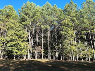 2035 Crockett Pointe, Jasper, TN 37347