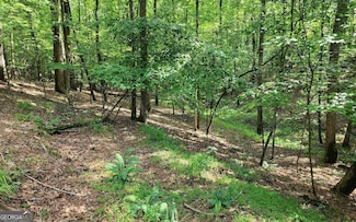 0 Oneida Cir Unit 10457817, Ellijay, GA 30540