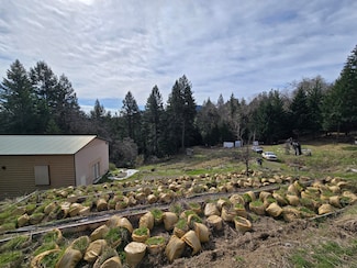 495 Wool Mountain Rd, Zenia, CA 95595