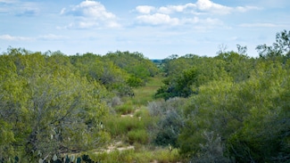 78349, Concepcion, TX 78349